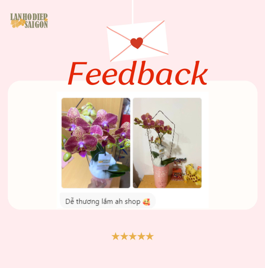 feedback shop hoa lan 2