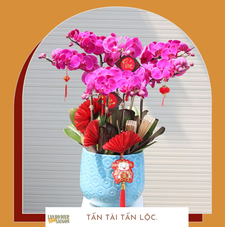 Tặng chậu hoa lan hồ điệp tím mừng sinh nhật