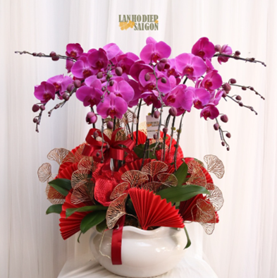 Tặng chậu hoa lan hồ điệp tím