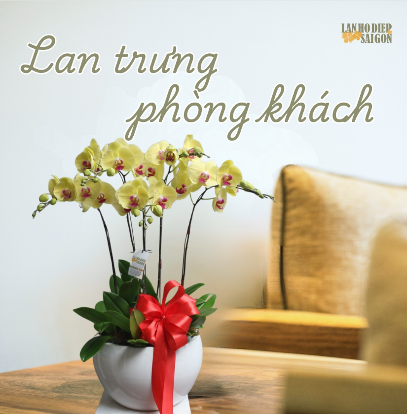 lan ho diep trung phong khach