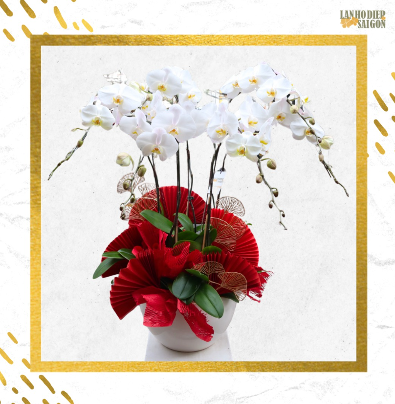 mẫu lan hồ điệp tặng tân gia 1