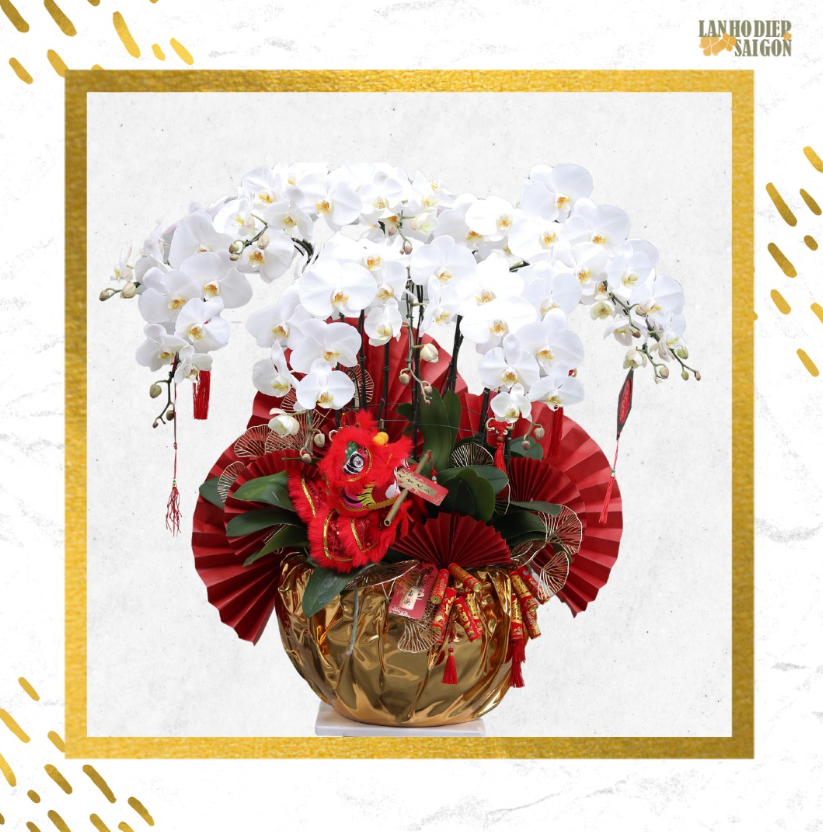 mẫu lan hồ điệp tặng tân gia 4