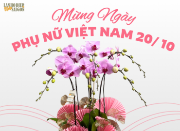 Tìm hiểu ý nghĩa lan hồ điệp tặng mẹ